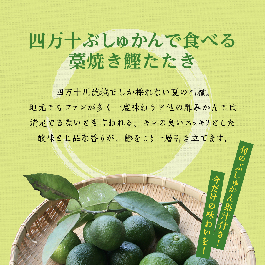 MTG　食糧補充　日本語　4枚セット 食糧補充 MTG 日本語4枚 最安値に挑戦！ 食糧補充 4枚 マジック