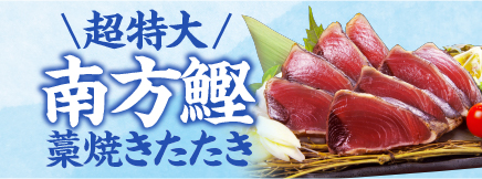 夏鰹