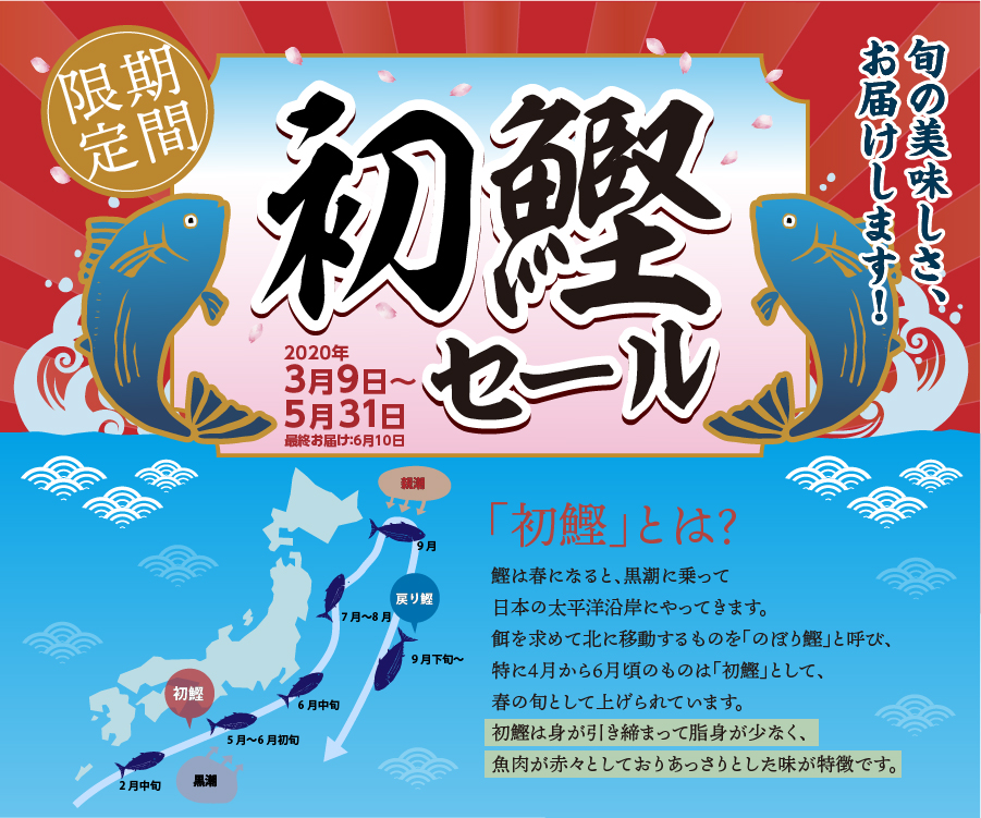 初鰹セール