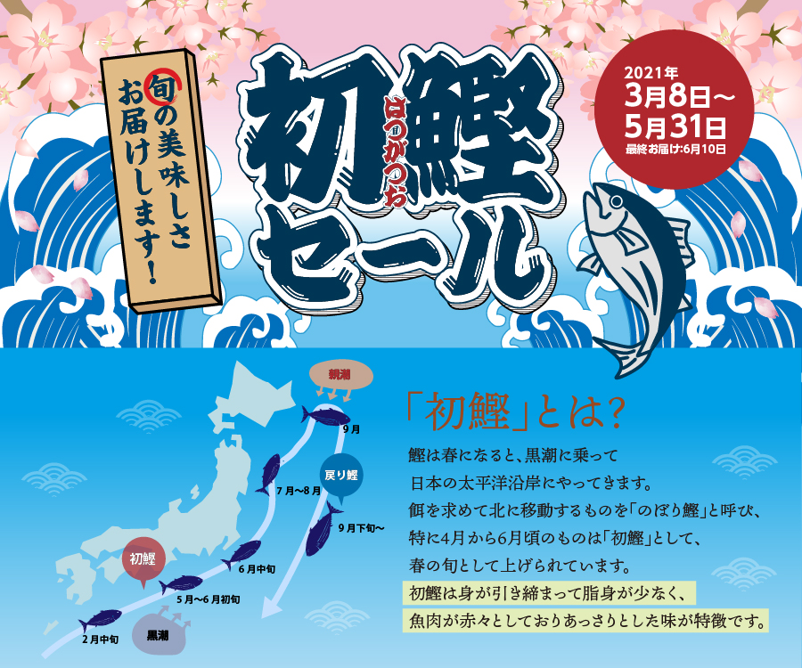 初鰹セール