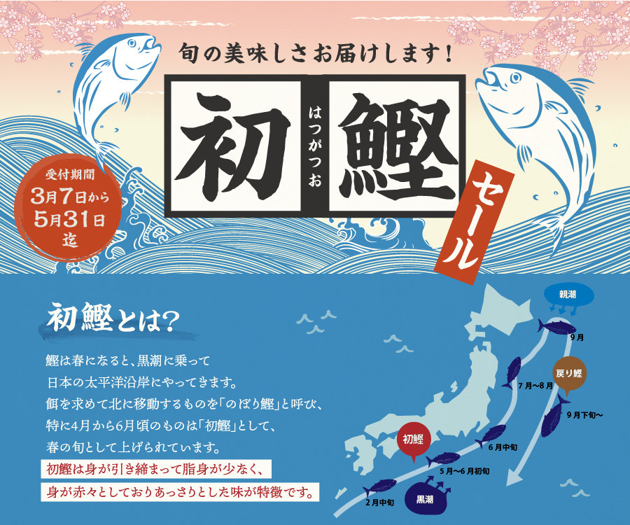 初鰹セール