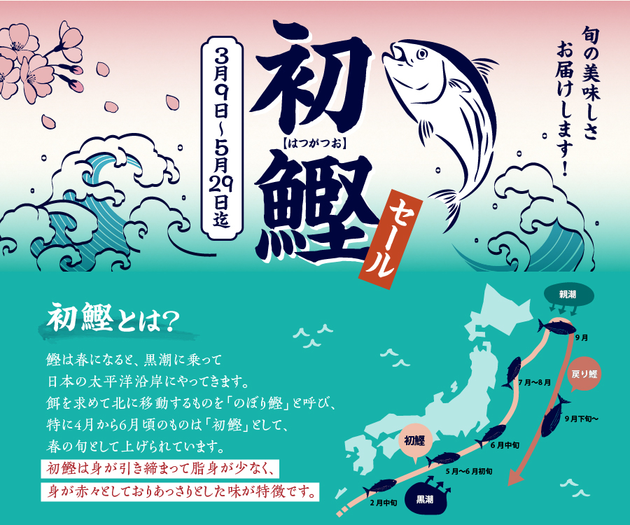 初鰹セール