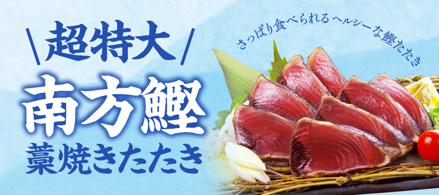 南方鰹お中元